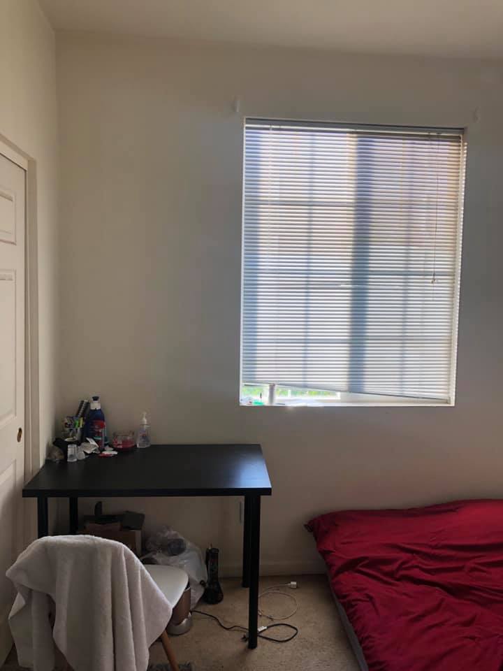 61681362_2988469321193112_5271624352096321536_n (1).jpg