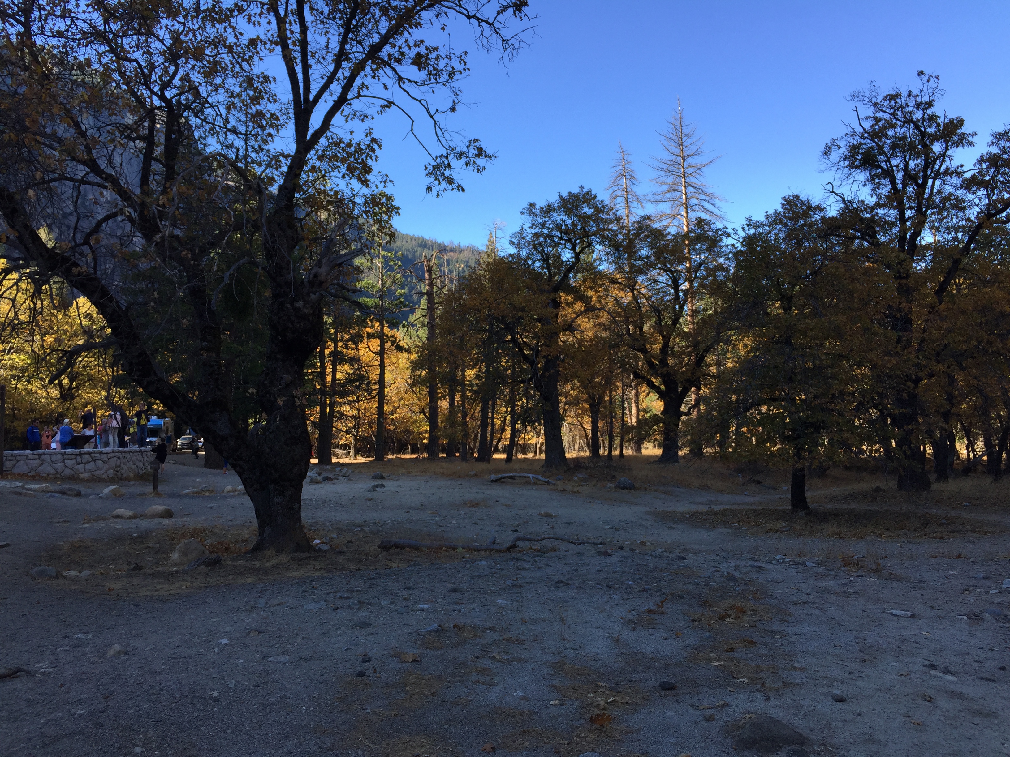 Yosemite in fall